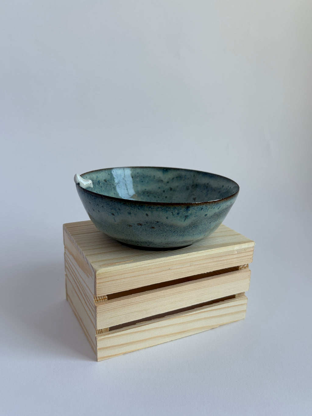 Mouse and bird in bowl