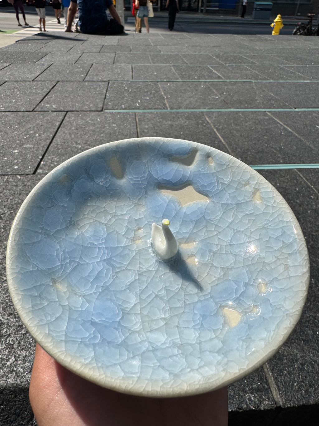 Goose in a puddle bowl