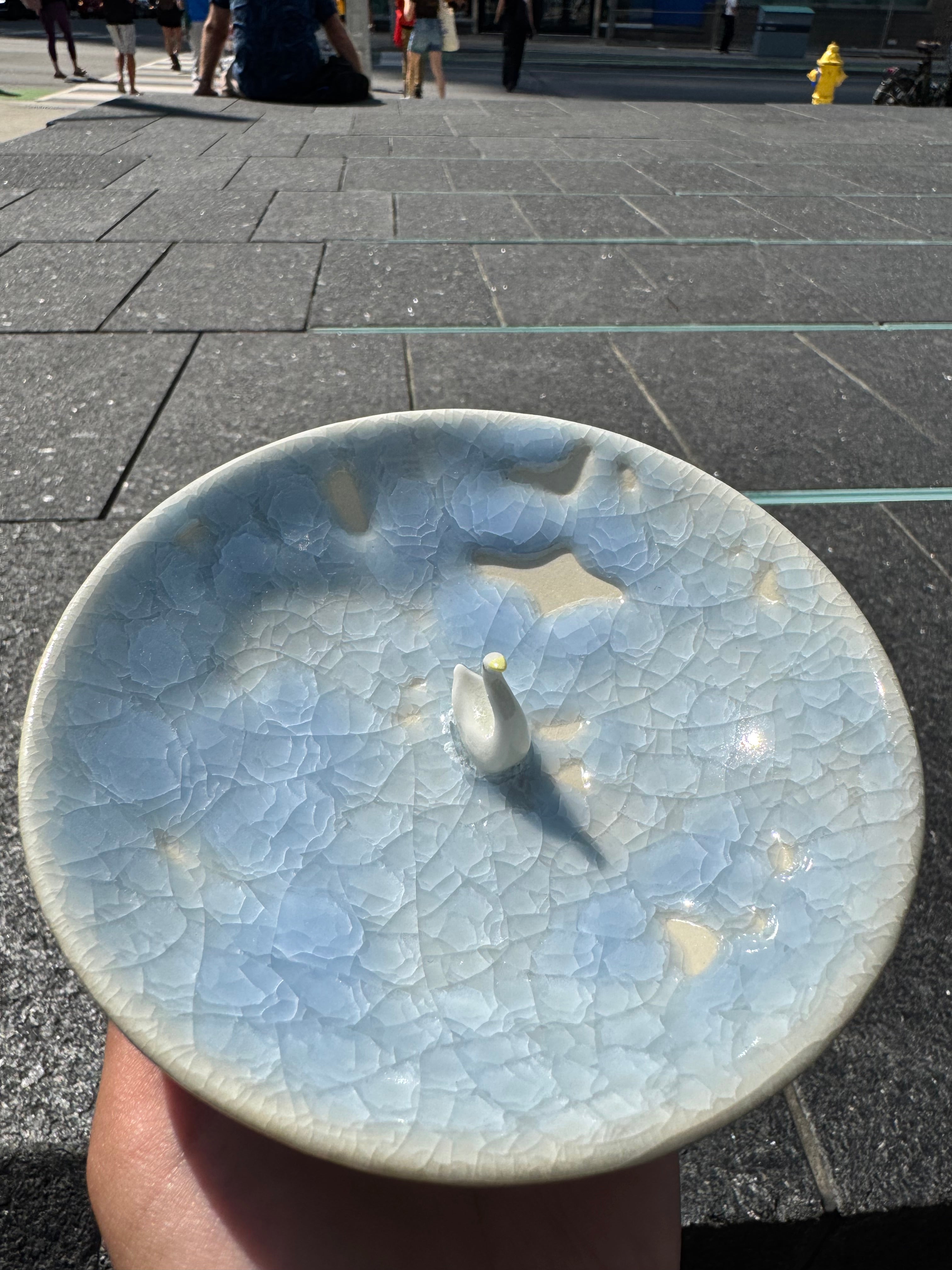 Goose in a puddle bowl