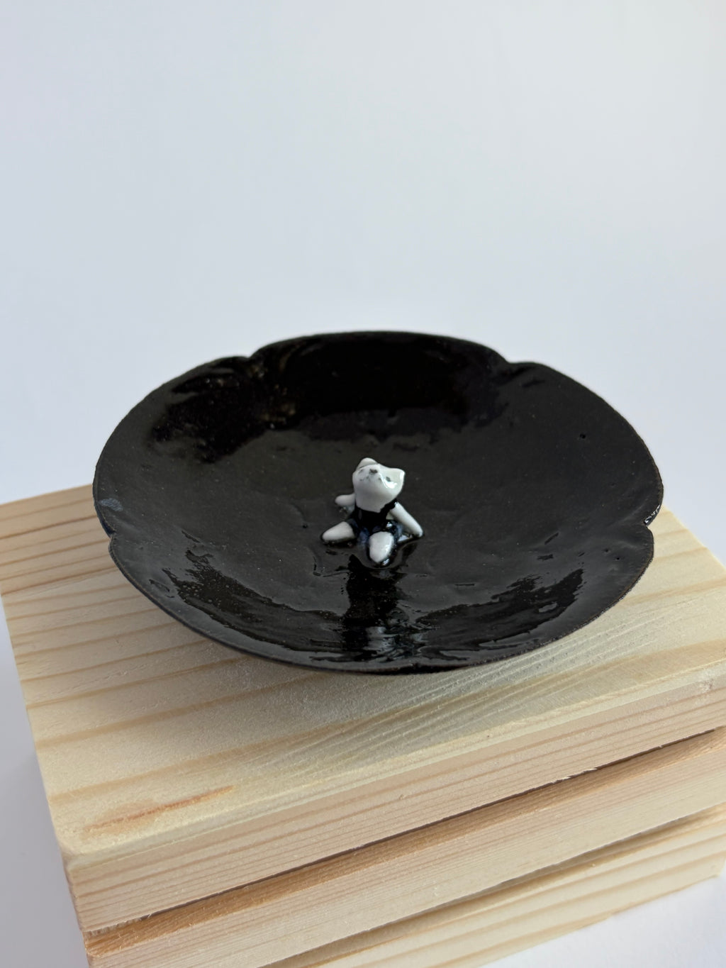Mouse in plate