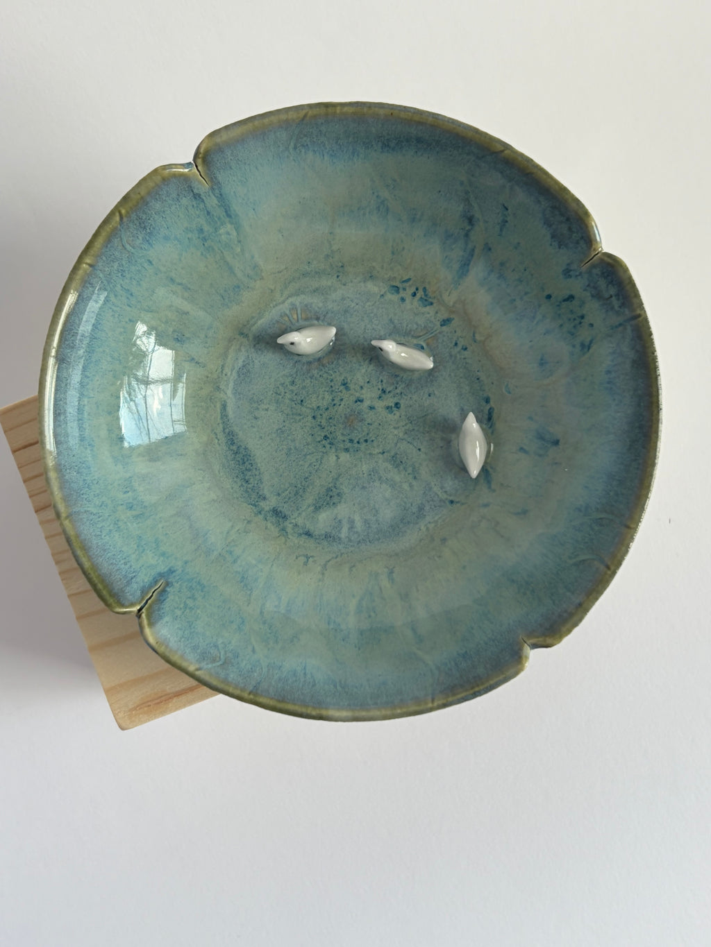 Bird family in bowl