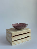 Bird in a bowl
