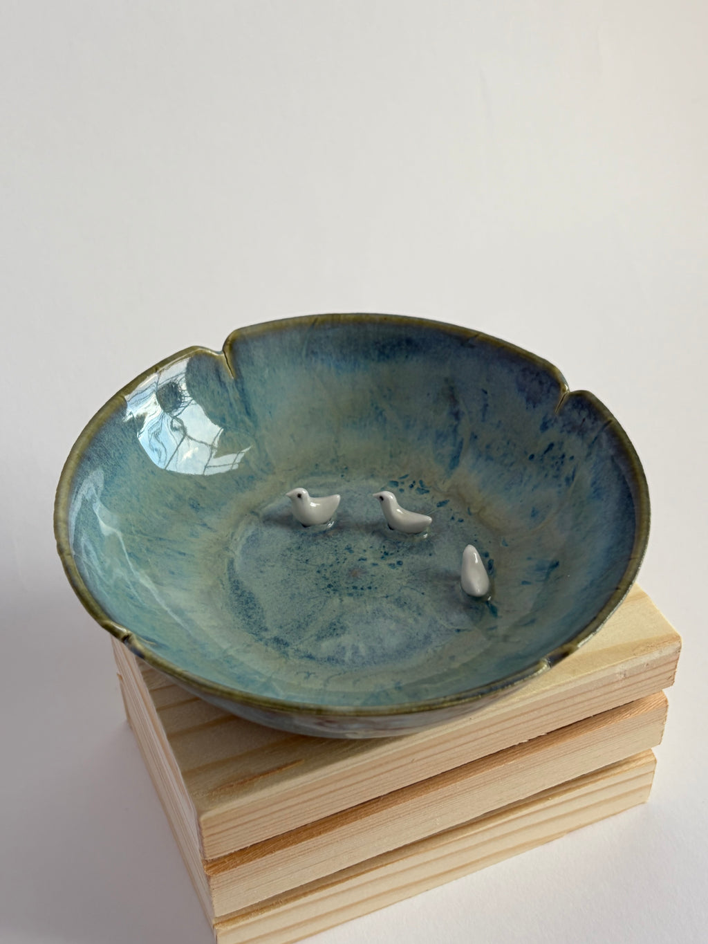 Bird family in bowl