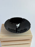 Cat in plate