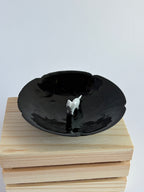Cat in plate