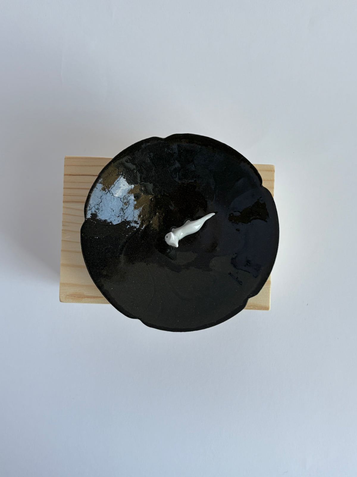 Cat in plate