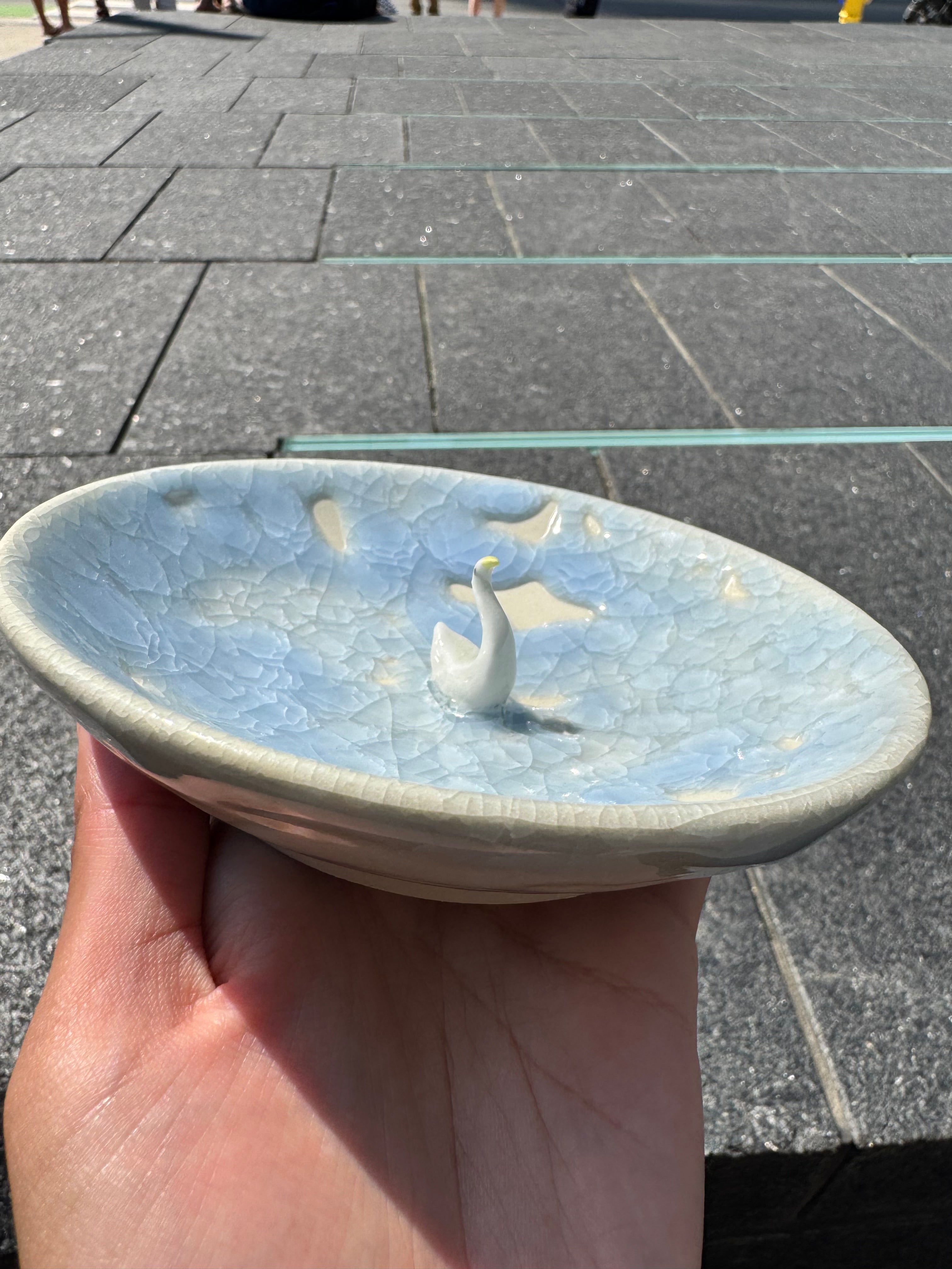 Goose in a puddle bowl