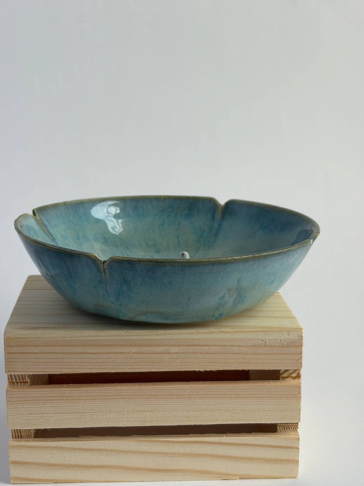Bird family in bowl