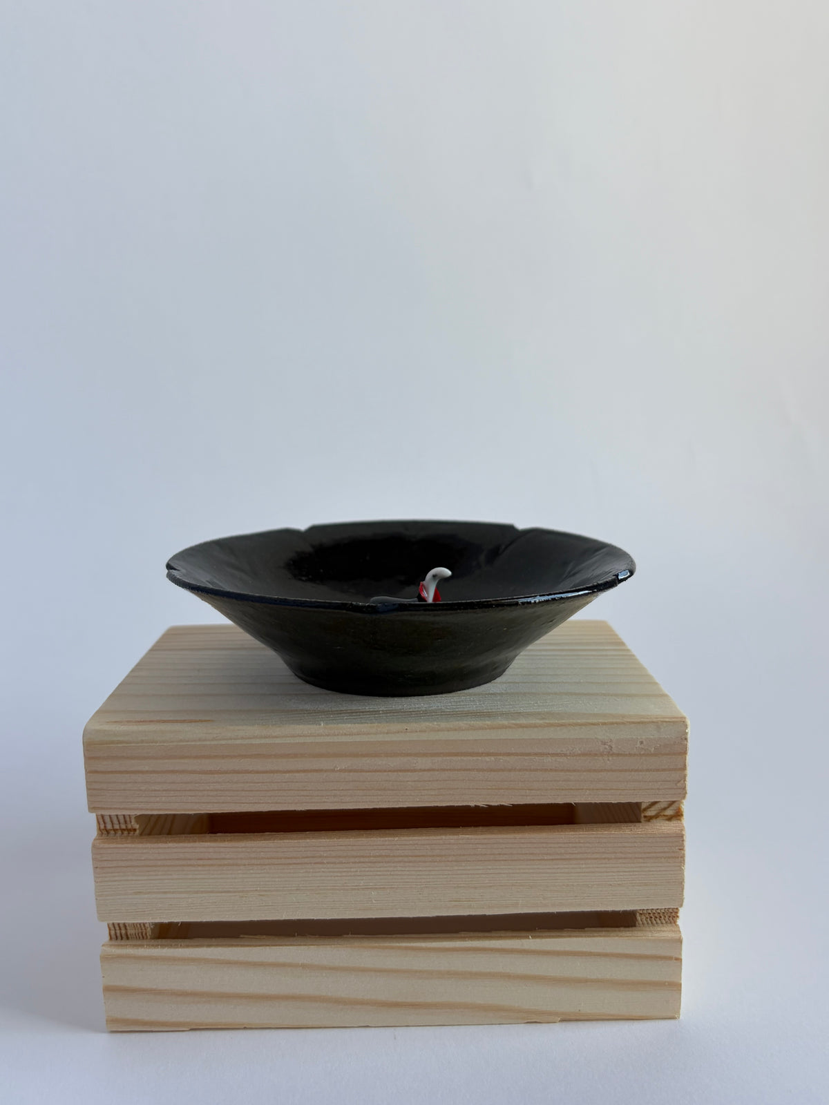 Vampisaur in bowl
