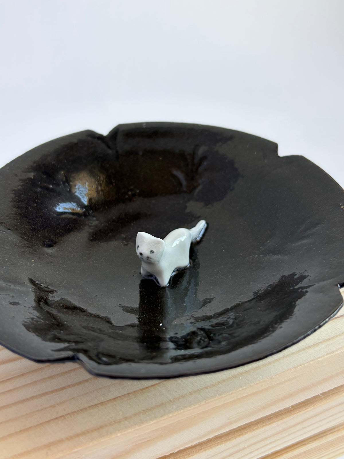 Cat on a plate