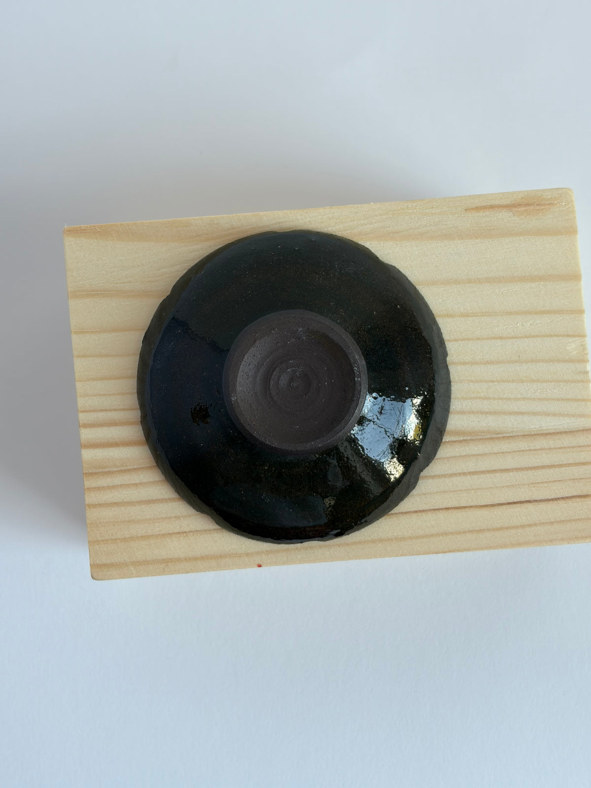 Bird in a dish