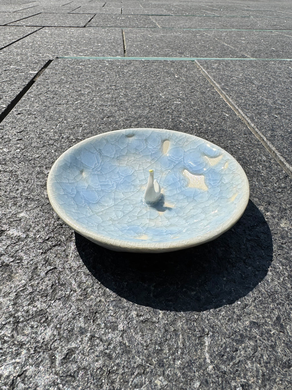 Goose in a puddle bowl