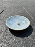 Goose in a puddle bowl