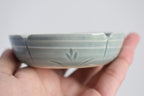 Jewelry Pot With Dinosaur