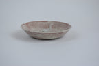 Decorative Dish With Dinosaur