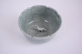 Decorative Bowl With Dinosaur