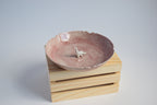 Dinosaur Trinket Dish