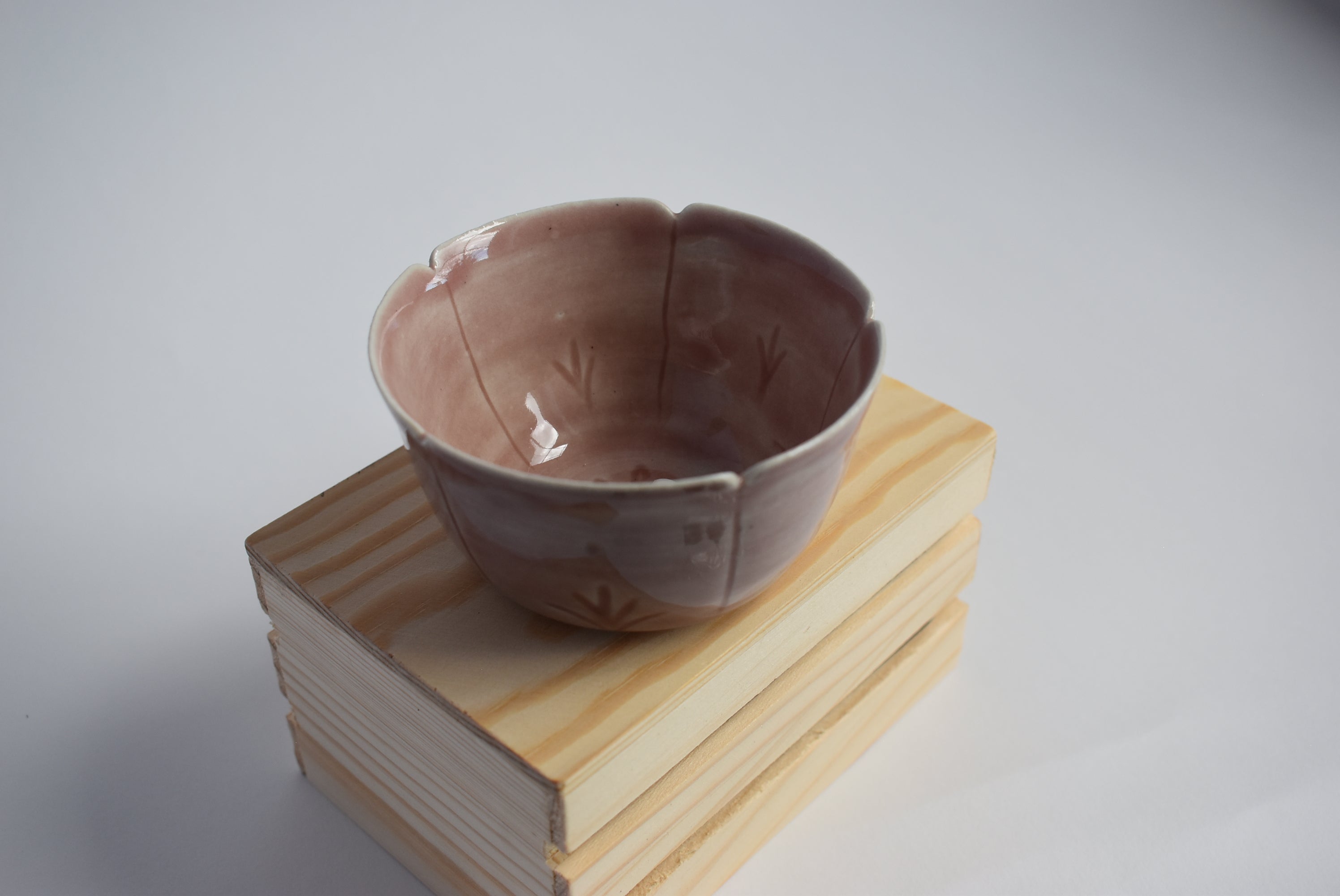 Bird in a Cup