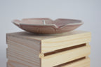 Dinosaur Trinket Dish