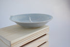 Trinket Dish with Dinosaur and Bird Friend