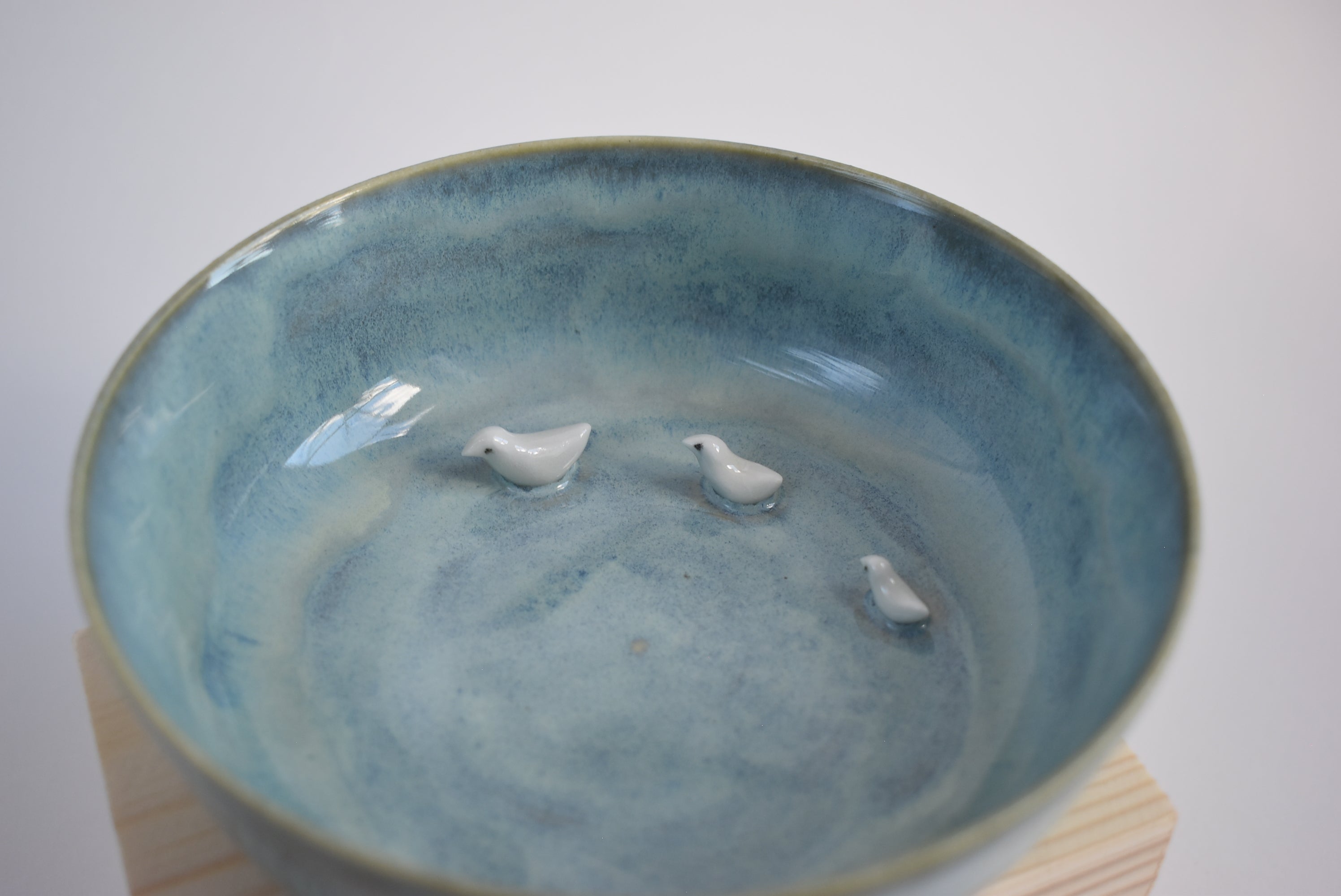 Bowl With Bird Family