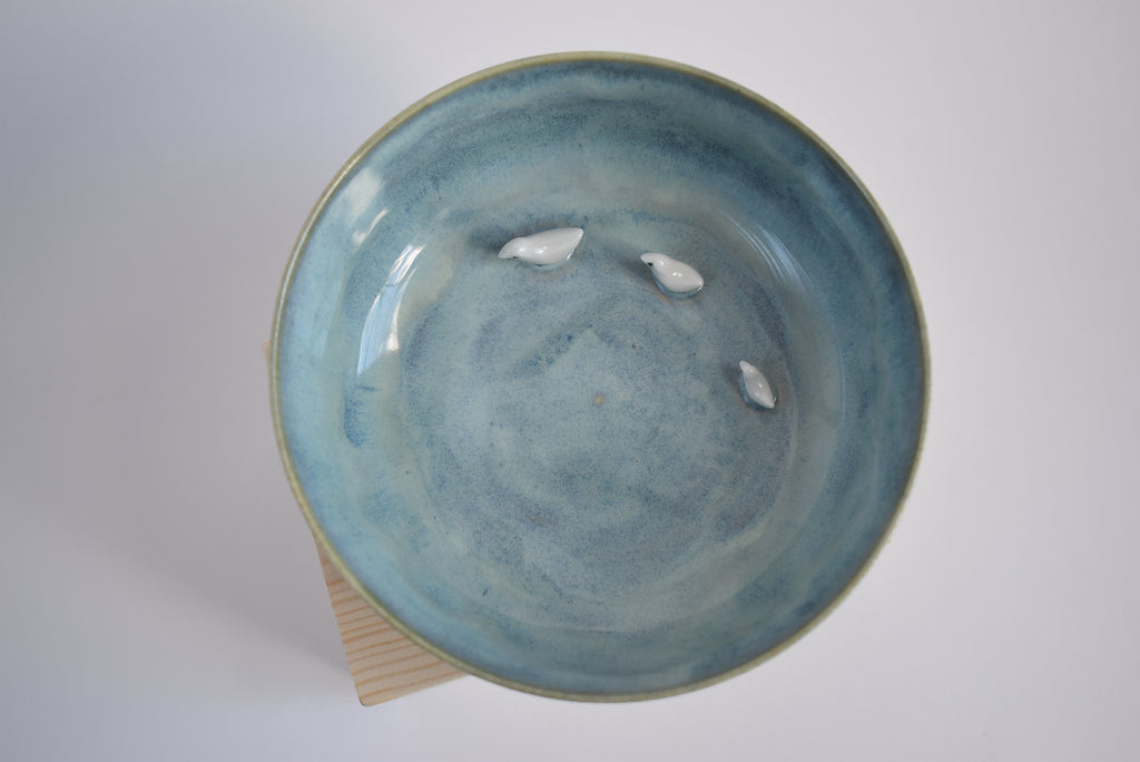Bowl With Bird Family