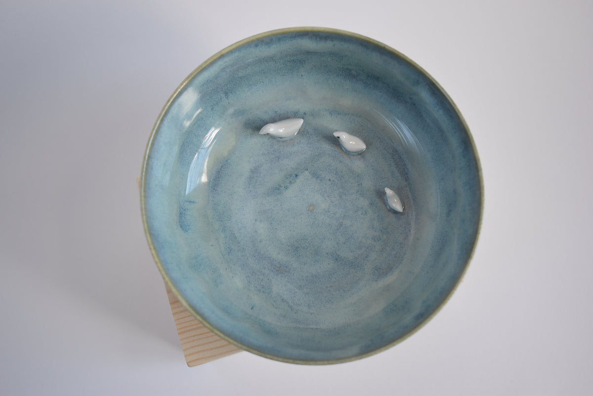 Bowl With Bird Family