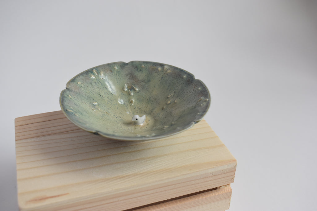 Bird in a bowl
