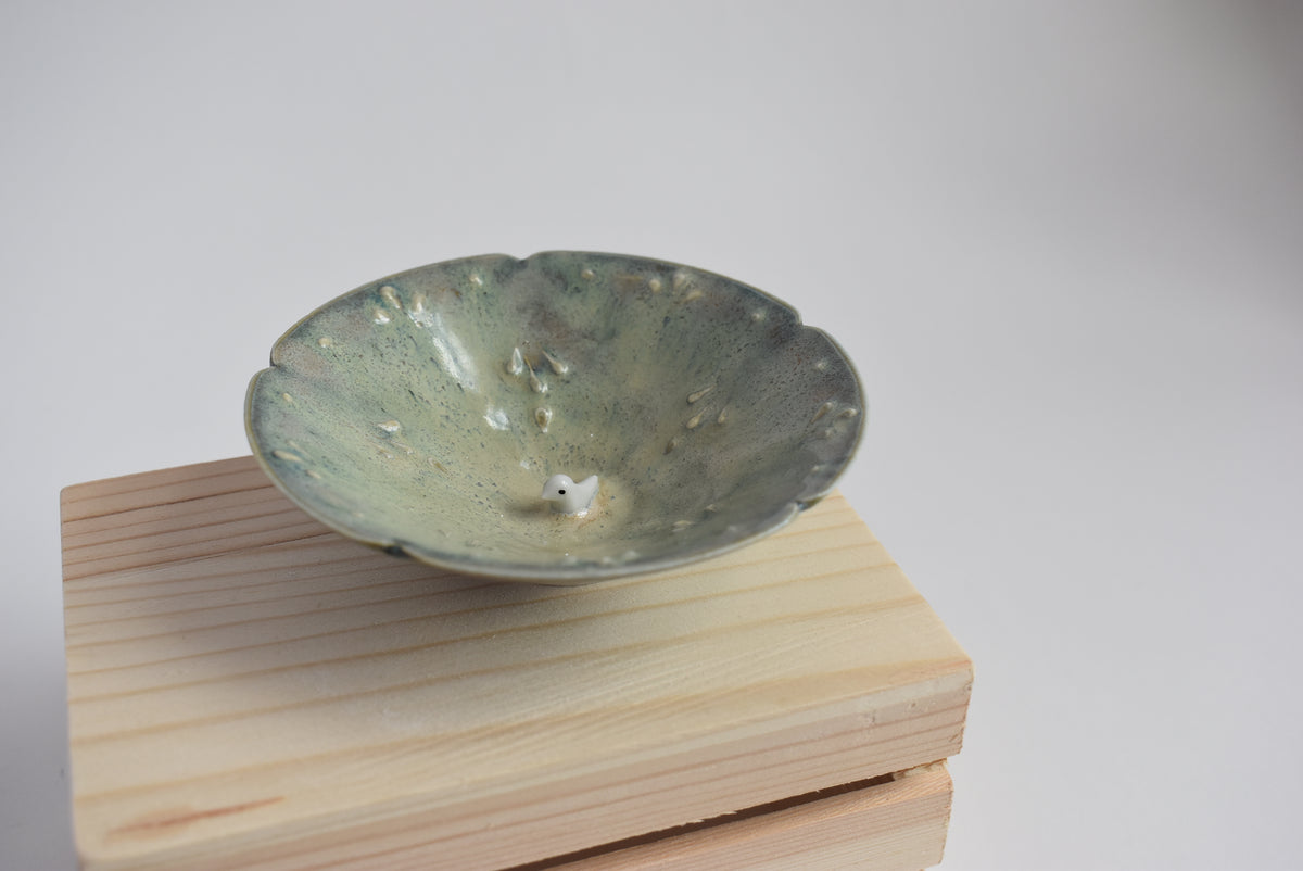 Bird in a bowl