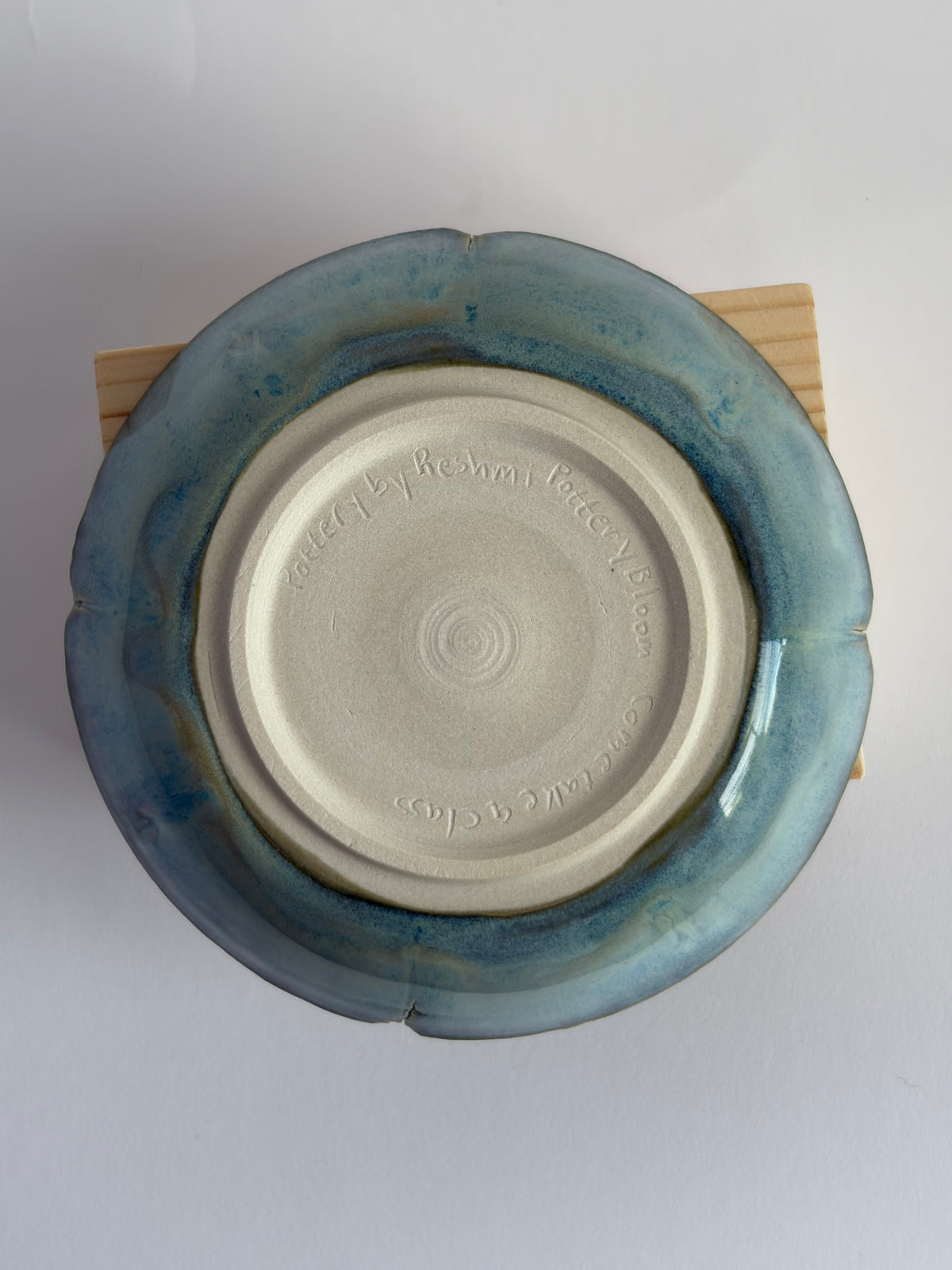 Bird family in bowl