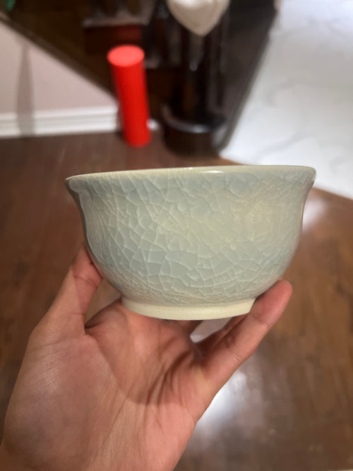 Decorative bowl with a dinosaur