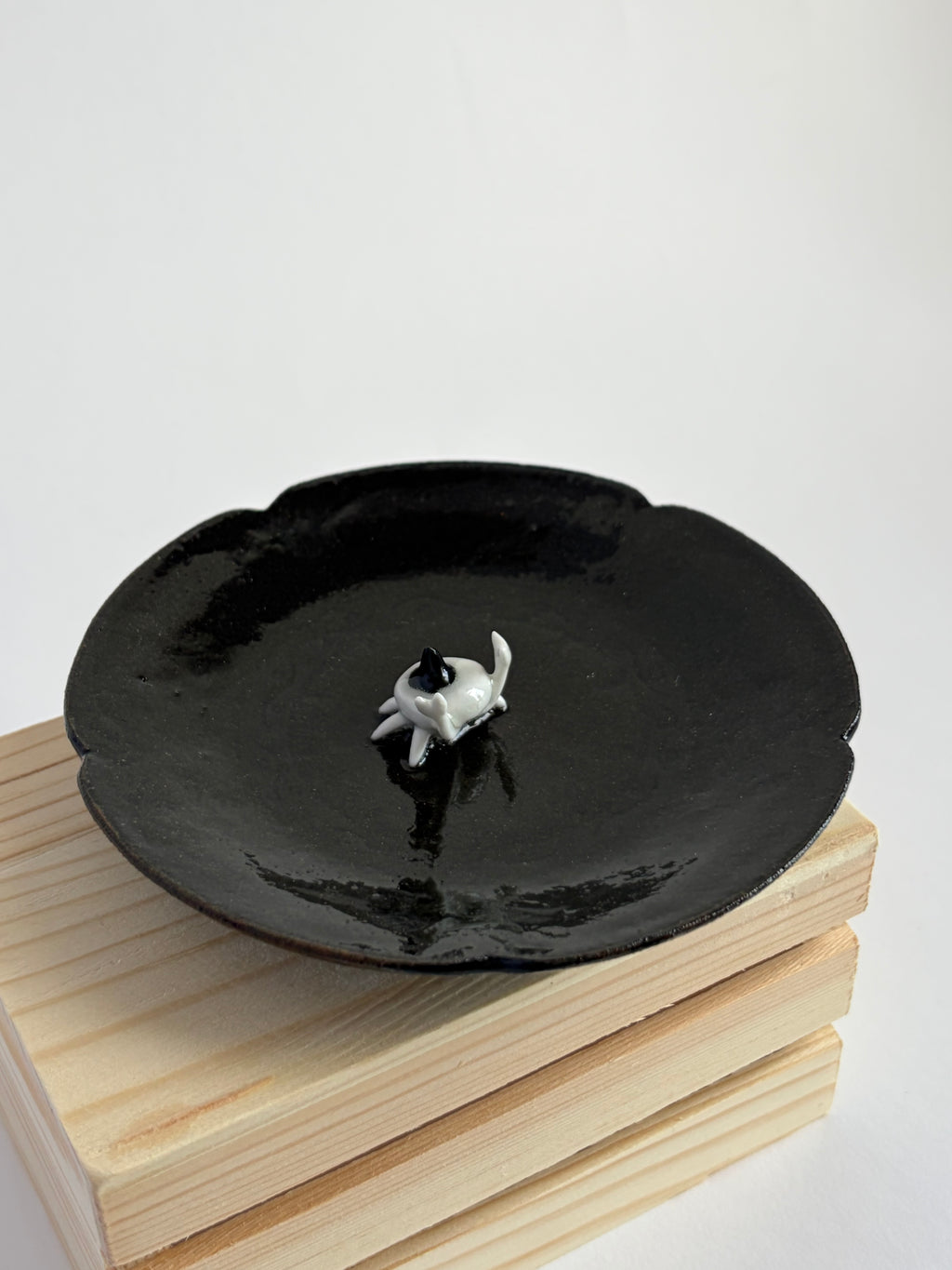 Crab witch on bowl