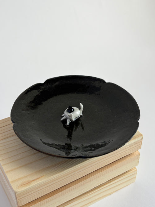 Crab witch on bowl