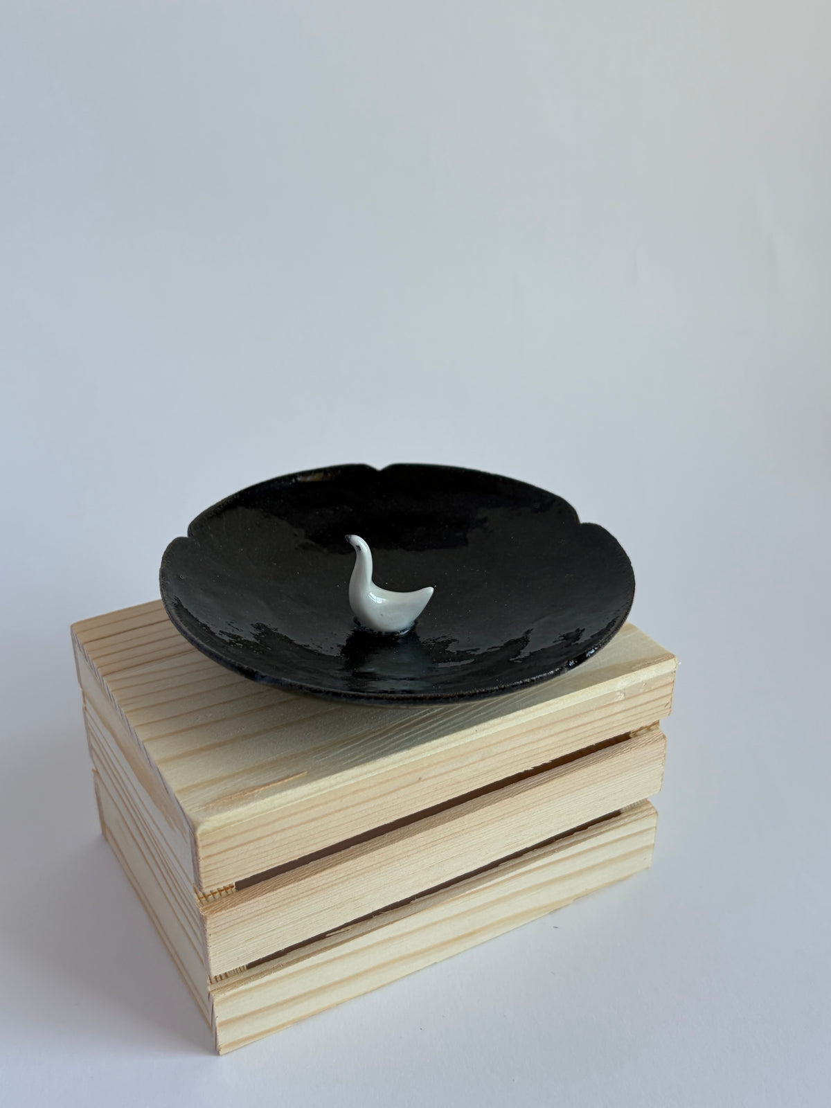 Swan in a plate