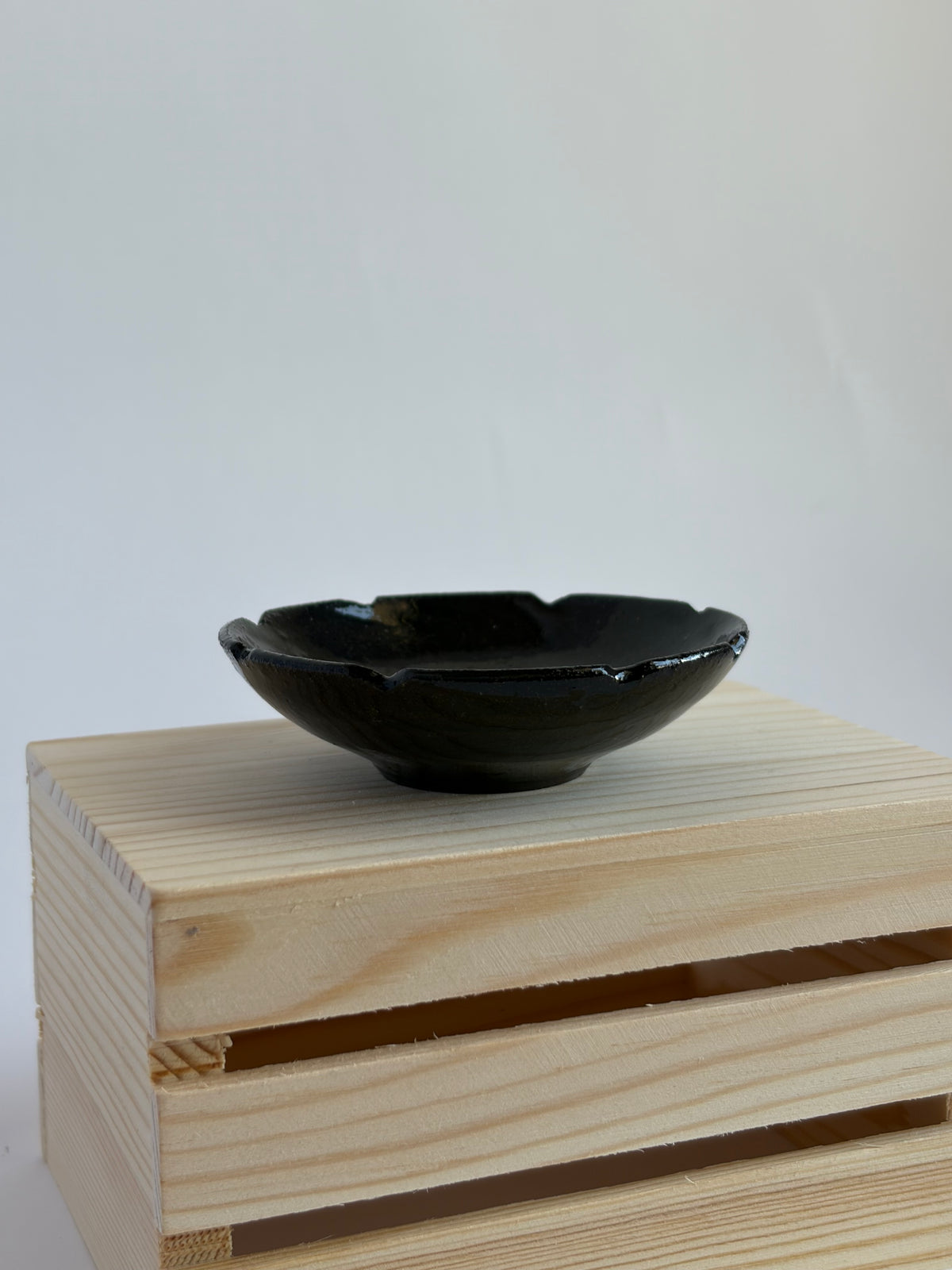 Bird in a dish